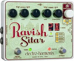 Ravish Sitar